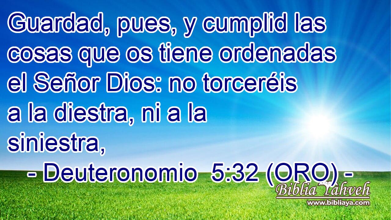  Guardad, pues, y cumplid las cosas que os tiene ordenadas el Señor Dios: no torceréis a la diestra, ni a la siniestra, 