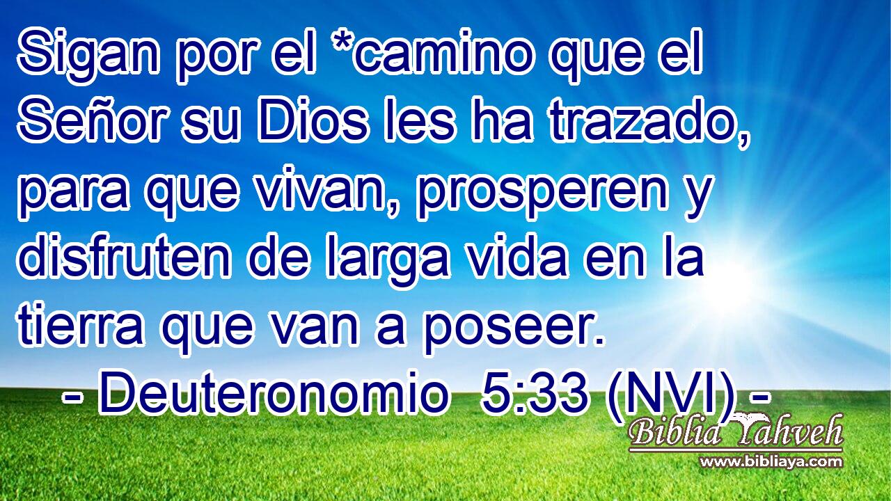  Sigan por el *camino que el Señor su Dios les ha trazado, para que vivan, prosperen y disfruten de larga vida en la tierra que van a poseer. 