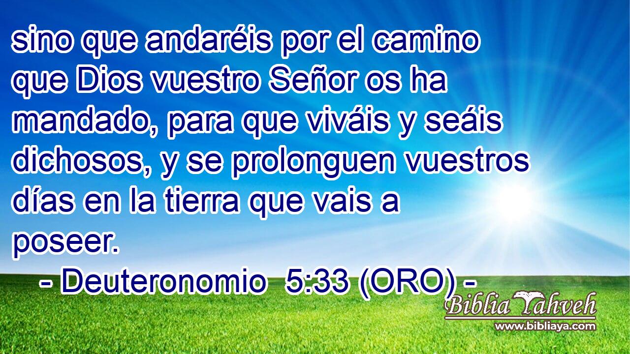  sino que andaréis por el camino que Dios vuestro Señor os ha mandado, para que viváis y seáis dichosos, y se prolonguen vuestros días en la tierra que vais a poseer. 