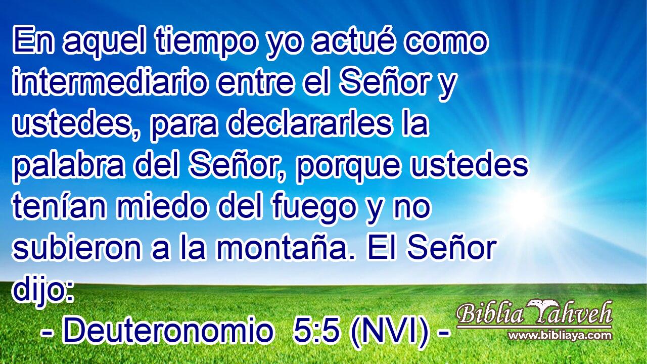  En aquel tiempo yo actué como intermediario entre el Señor y ustedes, para declararles la palabra del Señor, porque ustedes tenían miedo del fuego y no subieron a la montaña. El Señor dijo: 