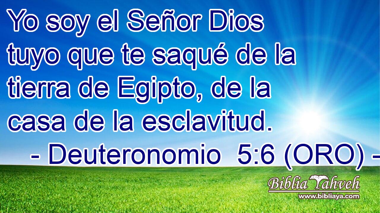  Yo soy el Señor Dios tuyo que te saqué de la tierra de Egipto, de la casa de la esclavitud. 