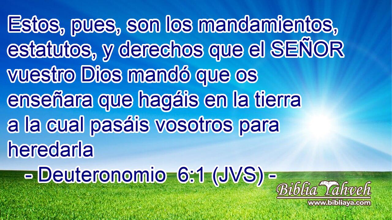 Estos, pues, son los mandamientos, estatutos, y derechos que el SEÑOR vuestro Dios mandó que os enseñara que hagáis en la tierra a la cual pasáis vosotros para heredarla
