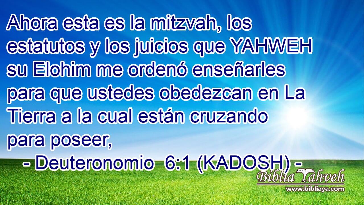 Ahora esta es la mitzvah, los estatutos y los juicios que YAHWEH su Elohim me ordenó enseñarles para que ustedes obedezcan en La Tierra a la cual están cruzando para poseer, 