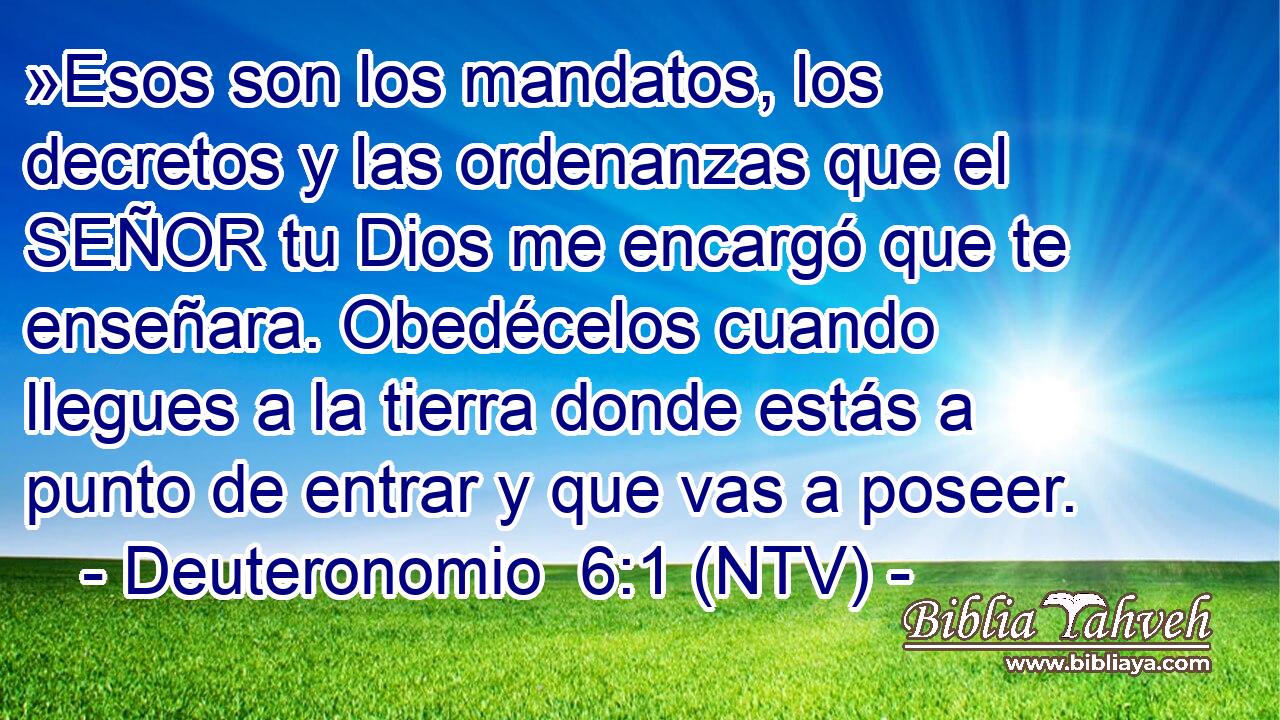 »Esos son los mandatos, los decretos y las ordenanzas que el SEÑOR tu Dios me encargó que te enseñara. Obedécelos cuando llegues a la tierra donde estás a punto de entrar y que vas a poseer.