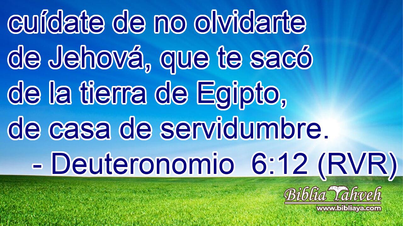 cuídate de no olvidarte de Jehová, que te sacó de la tierra de Egipto, de casa de servidumbre.