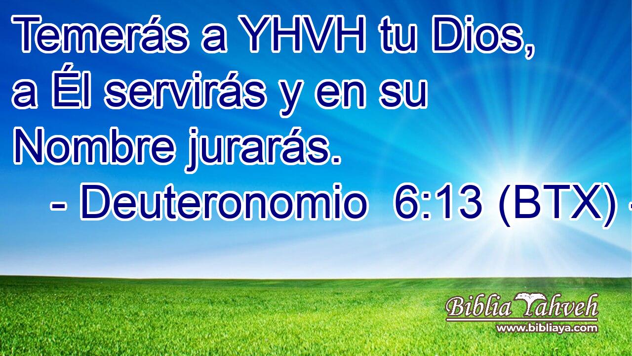 Temerás a YHVH tu Dios, a Él servirás y en su Nombre jurarás.