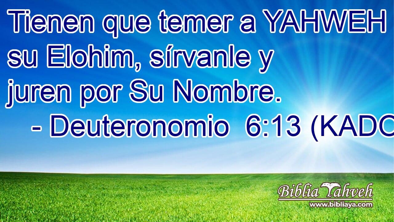  Tienen que temer a YAHWEH su Elohim, sírvanle y juren por Su Nombre. 