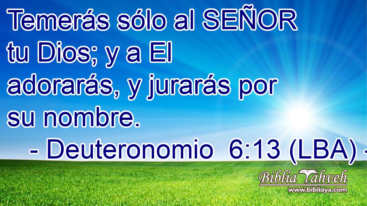 Temerás sólo al SEÑOR tu Dios; y a El adorarás, y jurarás por su nombre.