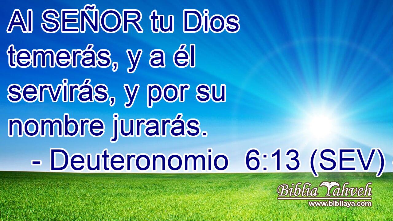 Al SEÑOR tu Dios temerás, y a él servirás, y por su nombre jurarás.
