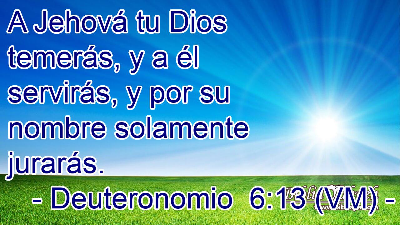  A Jehová tu Dios temerás, y a él servirás, y por su nombre solamente jurarás. 