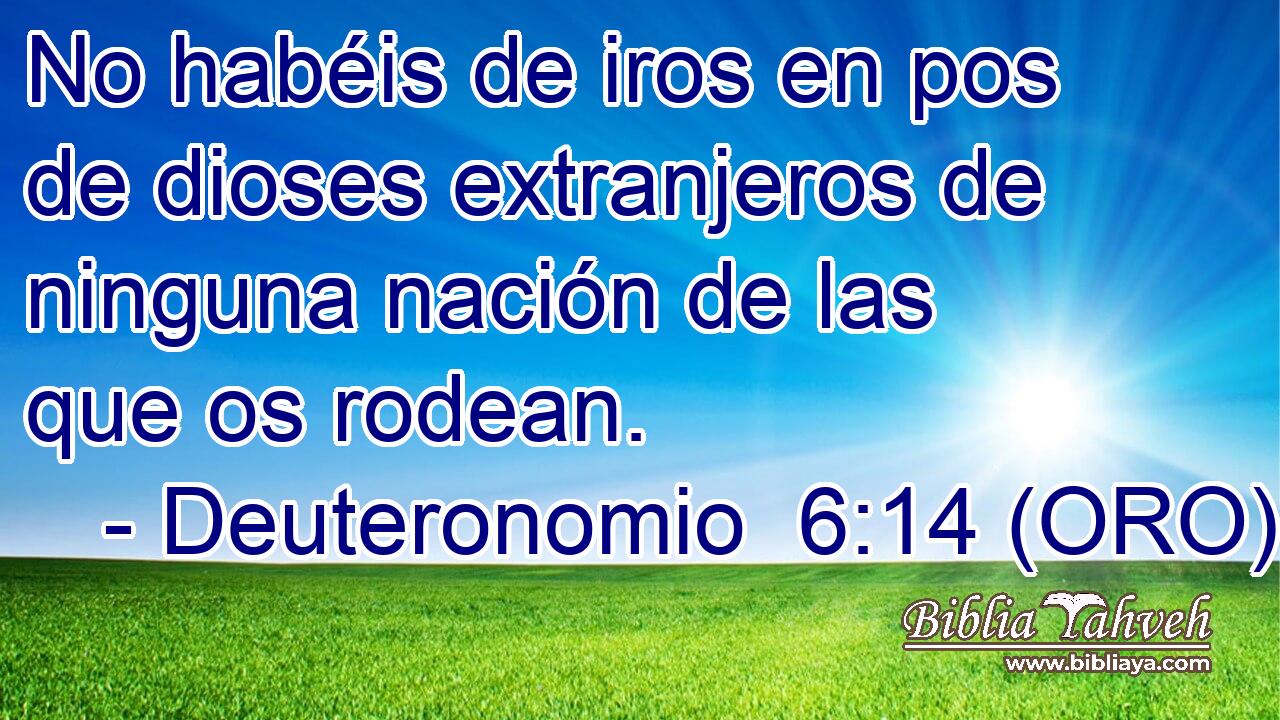  No habéis de iros en pos de dioses extranjeros de ninguna nación de las que os rodean. 