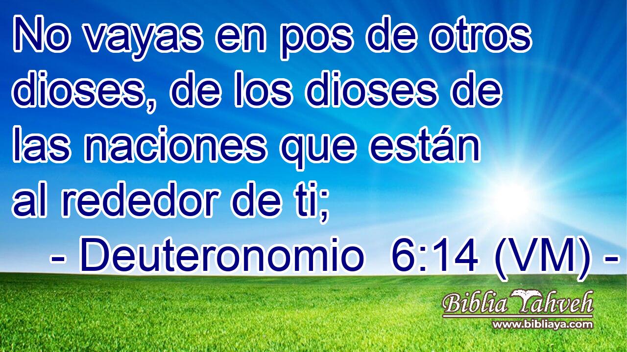  No vayas en pos de otros dioses, de los dioses de las naciones que están al rededor de ti; 