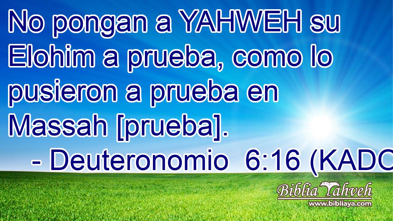  No pongan a YAHWEH su Elohim a prueba, como lo pusieron a prueba en Massah [prueba]. 