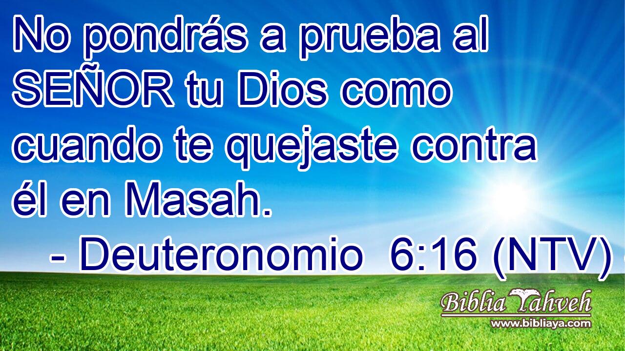 No pondrás a prueba al SEÑOR tu Dios como cuando te quejaste contra él en Masah.