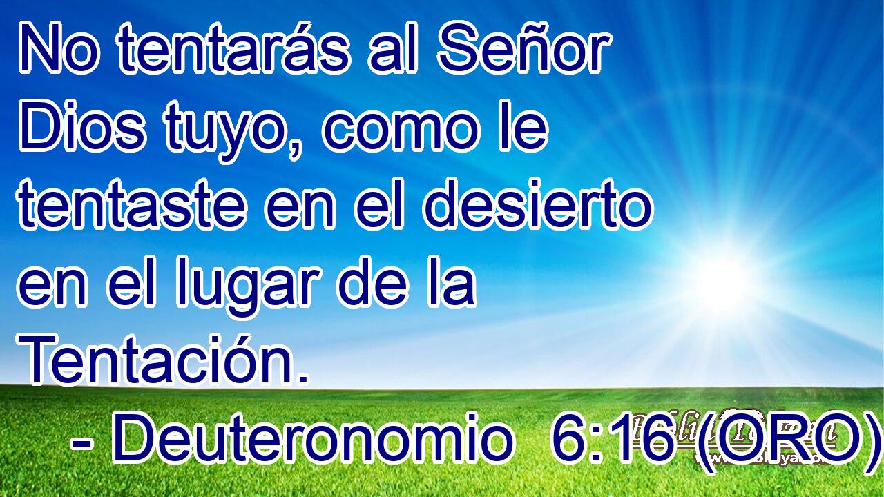 No tentarás al Señor Dios tuyo, como le tentaste en el desierto en el lugar de la Tentación. 
