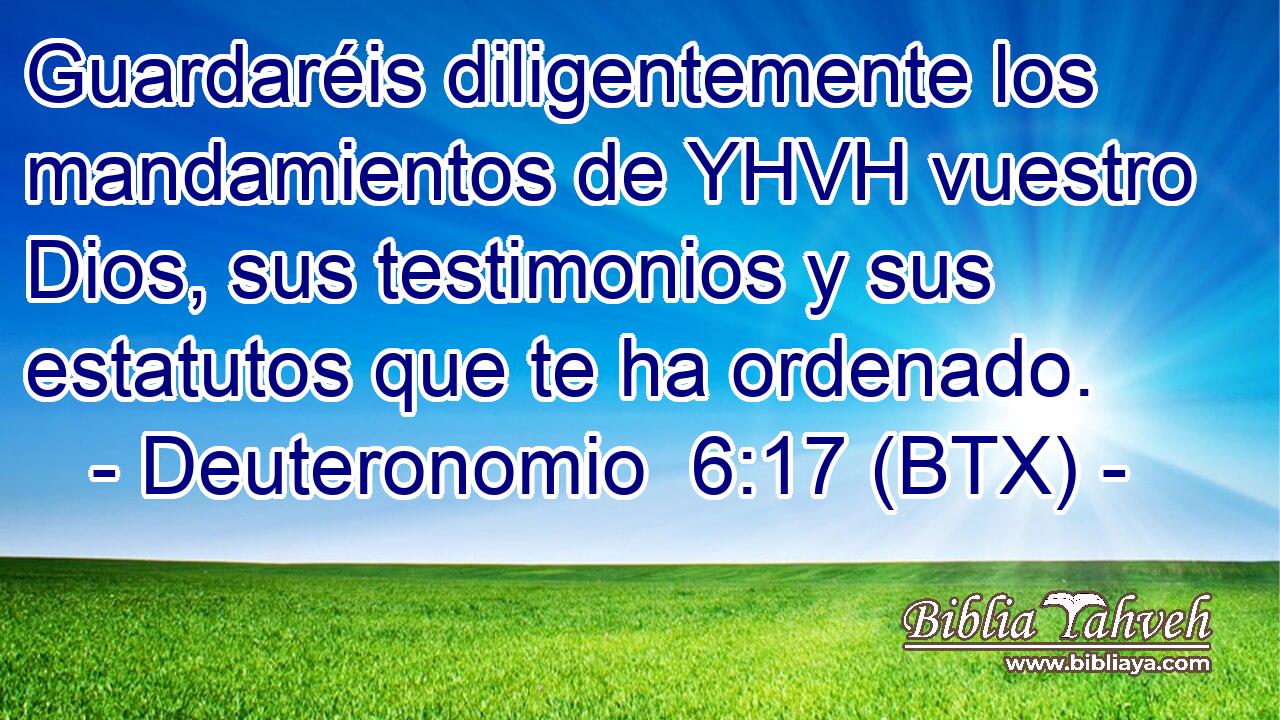 Guardaréis diligentemente los mandamientos de YHVH vuestro Dios, sus testimonios y sus estatutos que te ha ordenado.