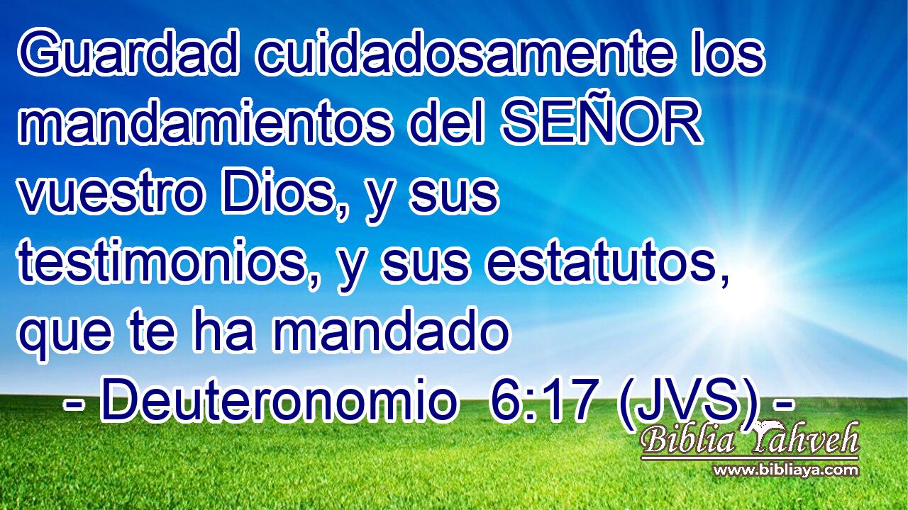 Guardad cuidadosamente los mandamientos del SEÑOR vuestro Dios, y sus testimonios, y sus estatutos, que te ha mandado