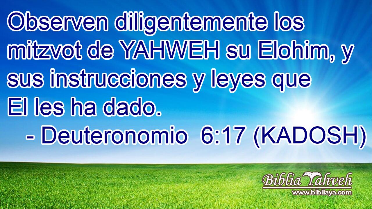  Observen diligentemente los mitzvot de YAHWEH su Elohim, y sus instrucciones y leyes que El les ha dado. 