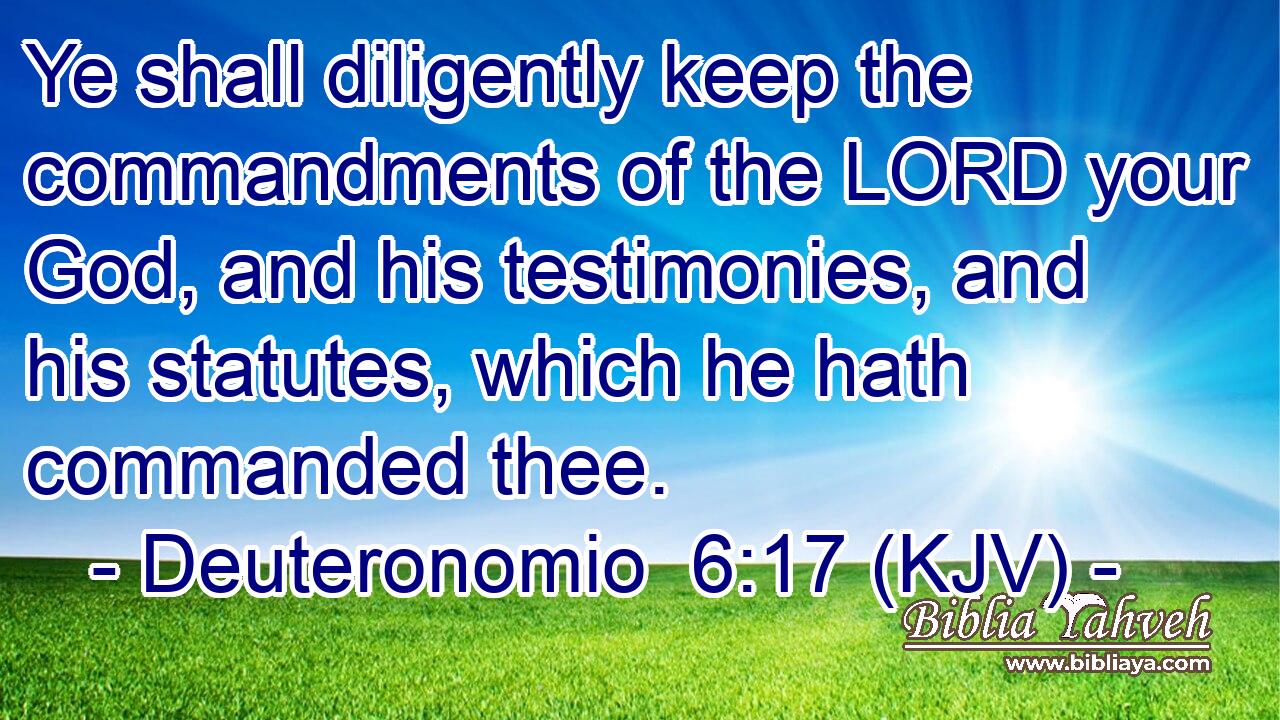 Ye shall diligently keep the commandments of the LORD your God, and his testimonies, and his statutes, which he hath commanded thee.