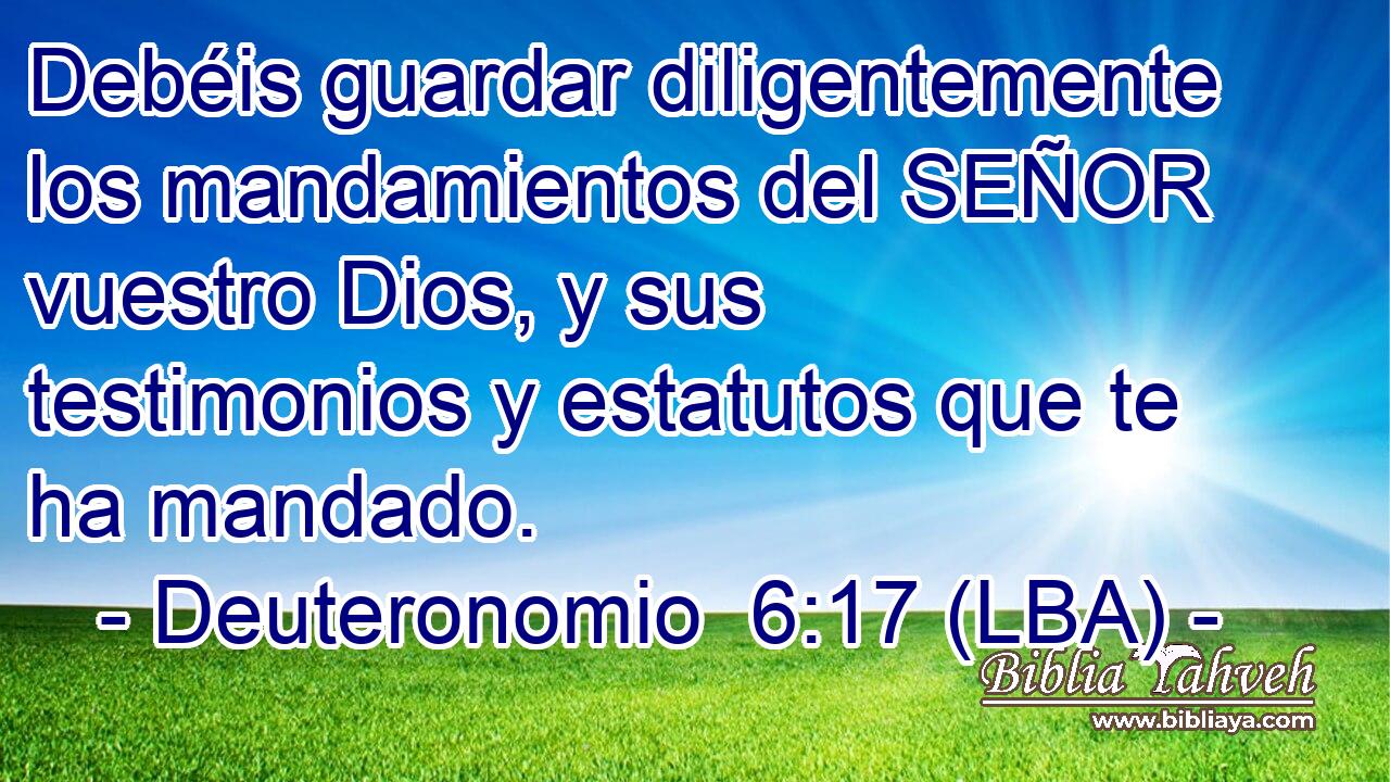 Debéis guardar diligentemente los mandamientos del SEÑOR vuestro Dios, y sus testimonios y estatutos que te ha mandado.