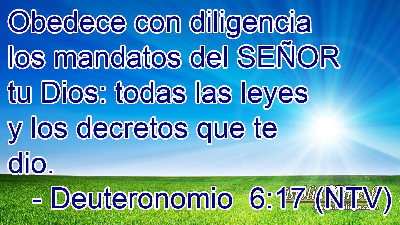 Obedece con diligencia los mandatos del SEÑOR tu Dios: todas las leyes y los decretos que te dio.