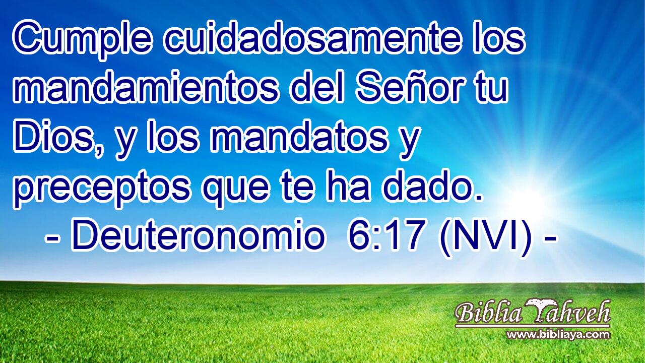  Cumple cuidadosamente los mandamientos del Señor tu Dios, y los mandatos y preceptos que te ha dado. 