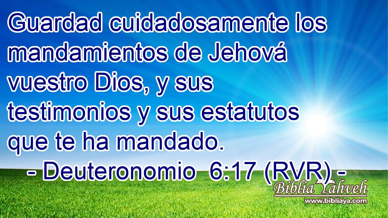Guardad cuidadosamente los mandamientos de Jehová vuestro Dios, y sus testimonios y sus estatutos que te ha mandado.
