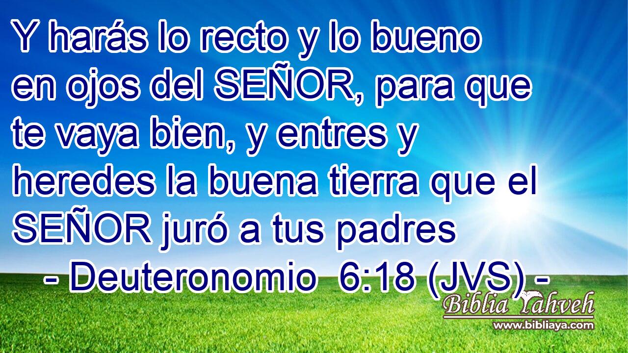 Y harás lo recto y lo bueno en ojos del SEÑOR, para que te vaya bien, y entres y heredes la buena tierra que el SEÑOR juró a tus padres