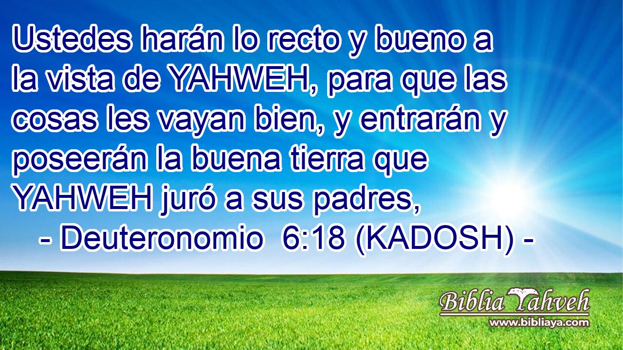  Ustedes harán lo recto y bueno a la vista de YAHWEH, para que las cosas les vayan bien, y entrarán y poseerán la buena tierra que YAHWEH juró a sus padres, 