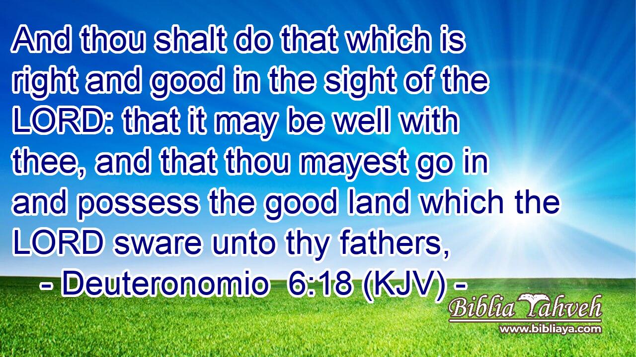 And thou shalt do that which is right and good in the sight of the LORD: that it may be well with thee, and that thou mayest go in and possess the good land which the LORD sware unto thy fathers,