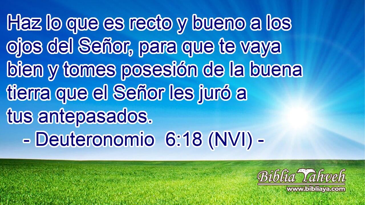  Haz lo que es recto y bueno a los ojos del Señor, para que te vaya bien y tomes posesión de la buena tierra que el Señor les juró a tus antepasados. 