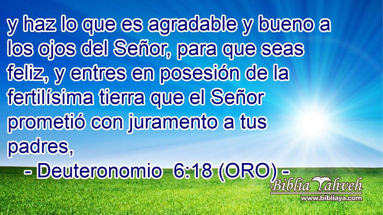  y haz lo que es agradable y bueno a los ojos del Señor, para que seas feliz, y entres en posesión de la fertilísima tierra que el Señor prometió con juramento a tus padres, 