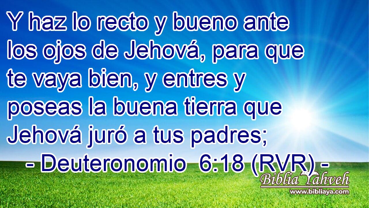 Y haz lo recto y bueno ante los ojos de Jehová, para que te vaya bien, y entres y poseas la buena tierra que Jehová juró a tus padres;