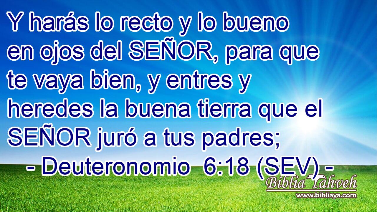 Y harás lo recto y lo bueno en ojos del SEÑOR, para que te vaya bien, y entres y heredes la buena tierra que el SEÑOR juró a tus padres;