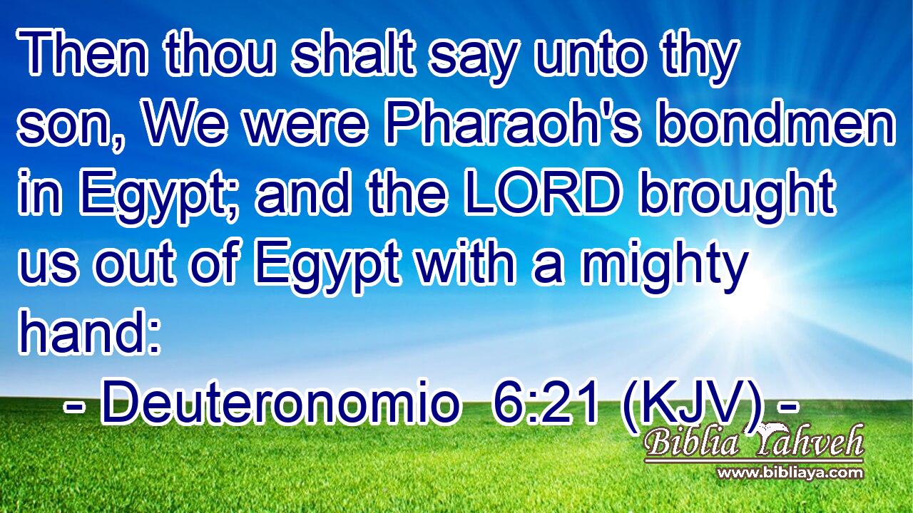 Then thou shalt say unto thy son, We were Pharaoh's bondmen in Egypt; and the LORD brought us out of Egypt with a mighty hand: