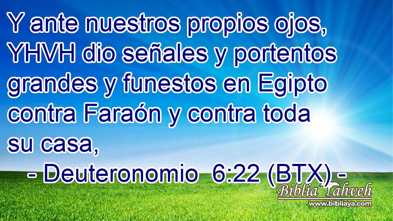 Y ante nuestros propios ojos, YHVH dio señales y portentos grandes y funestos en Egipto contra Faraón y contra toda su casa,
