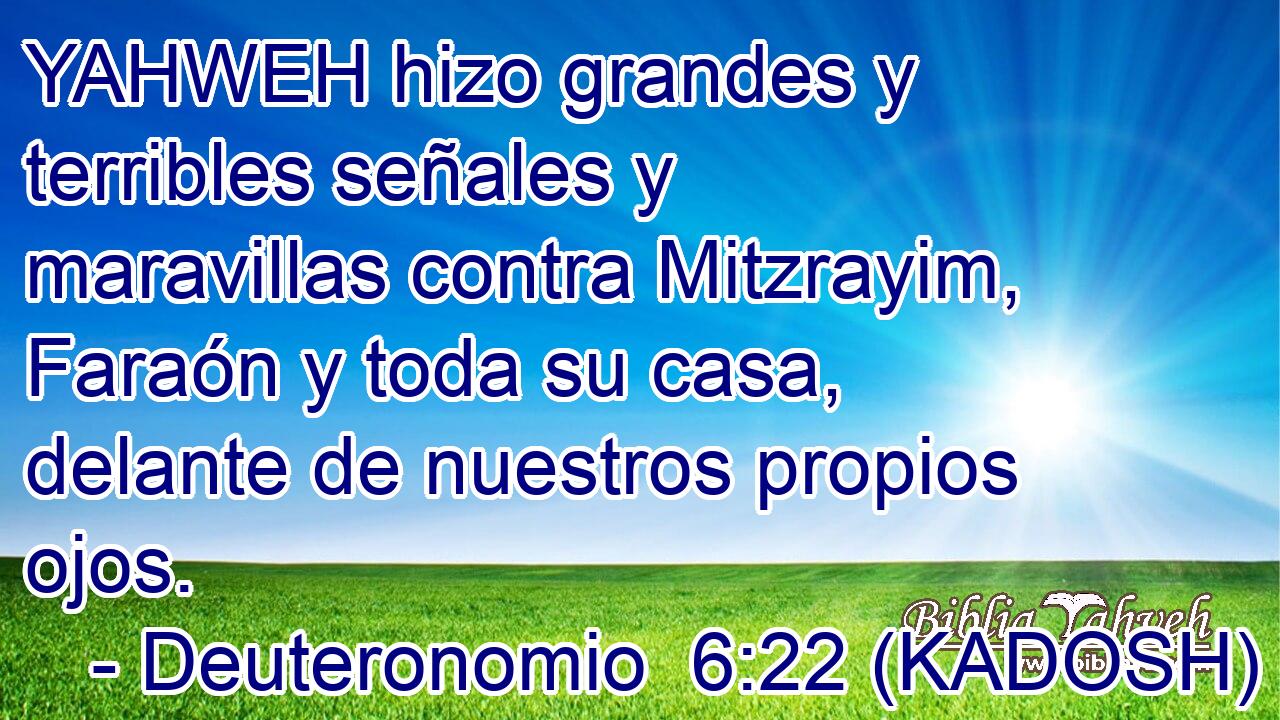  YAHWEH hizo grandes y terribles señales y maravillas contra Mitzrayim, Faraón y toda su casa, delante de nuestros propios ojos. 