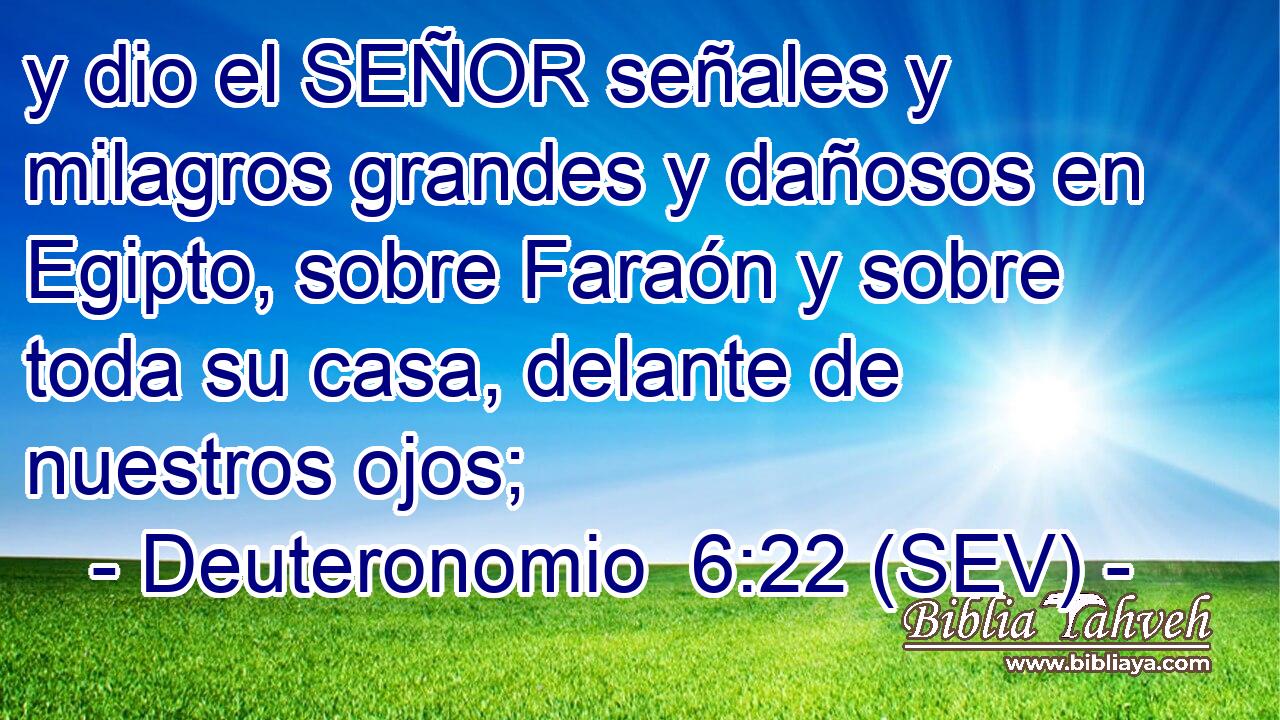 y dio el SEÑOR señales y milagros grandes y dañosos en Egipto, sobre Faraón y sobre toda su casa, delante de nuestros ojos;