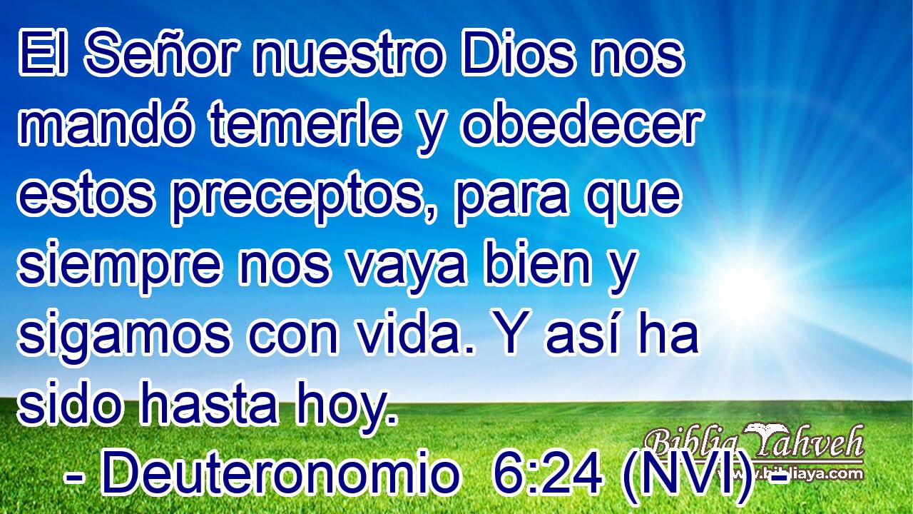  El Señor nuestro Dios nos mandó temerle y obedecer estos preceptos, para que siempre nos vaya bien y sigamos con vida. Y así ha sido hasta hoy. 