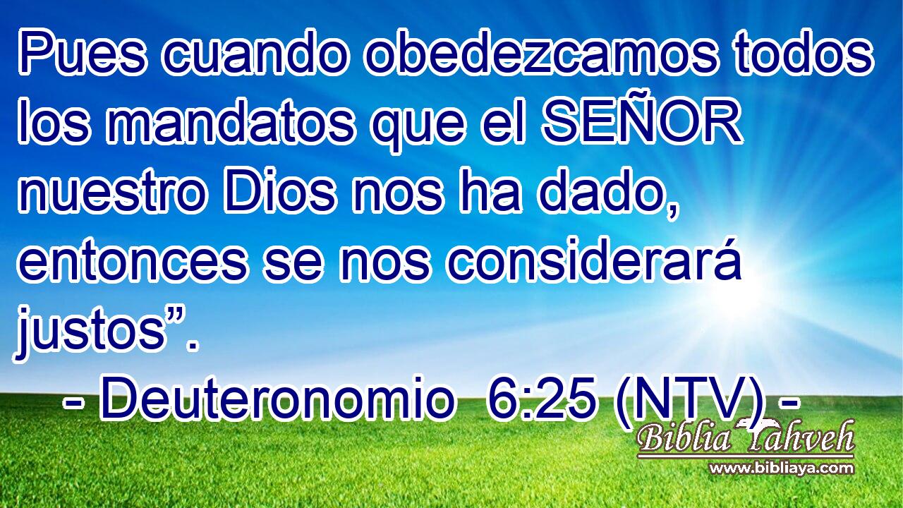 Pues cuando obedezcamos todos los mandatos que el SEÑOR nuestro Dios nos ha dado, entonces se nos considerará justos”.