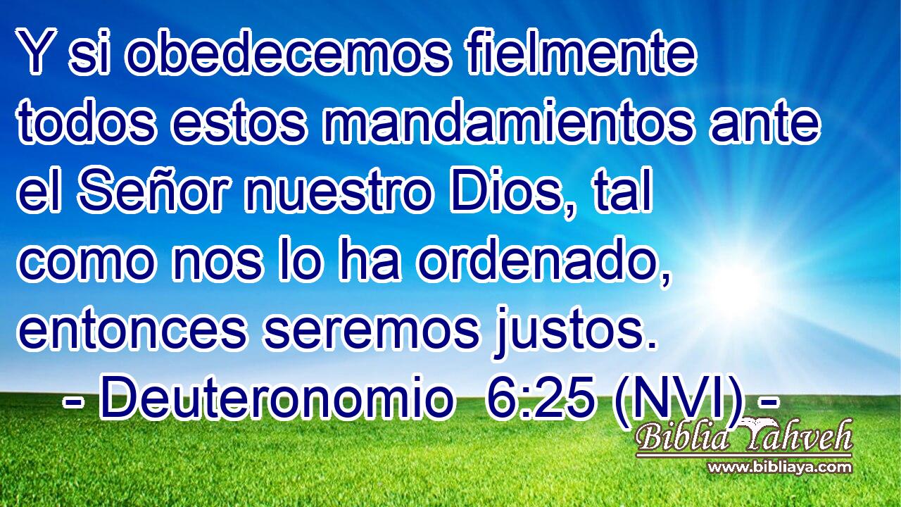  Y si obedecemos fielmente todos estos mandamientos ante el Señor nuestro Dios, tal como nos lo ha ordenado, entonces seremos justos. 