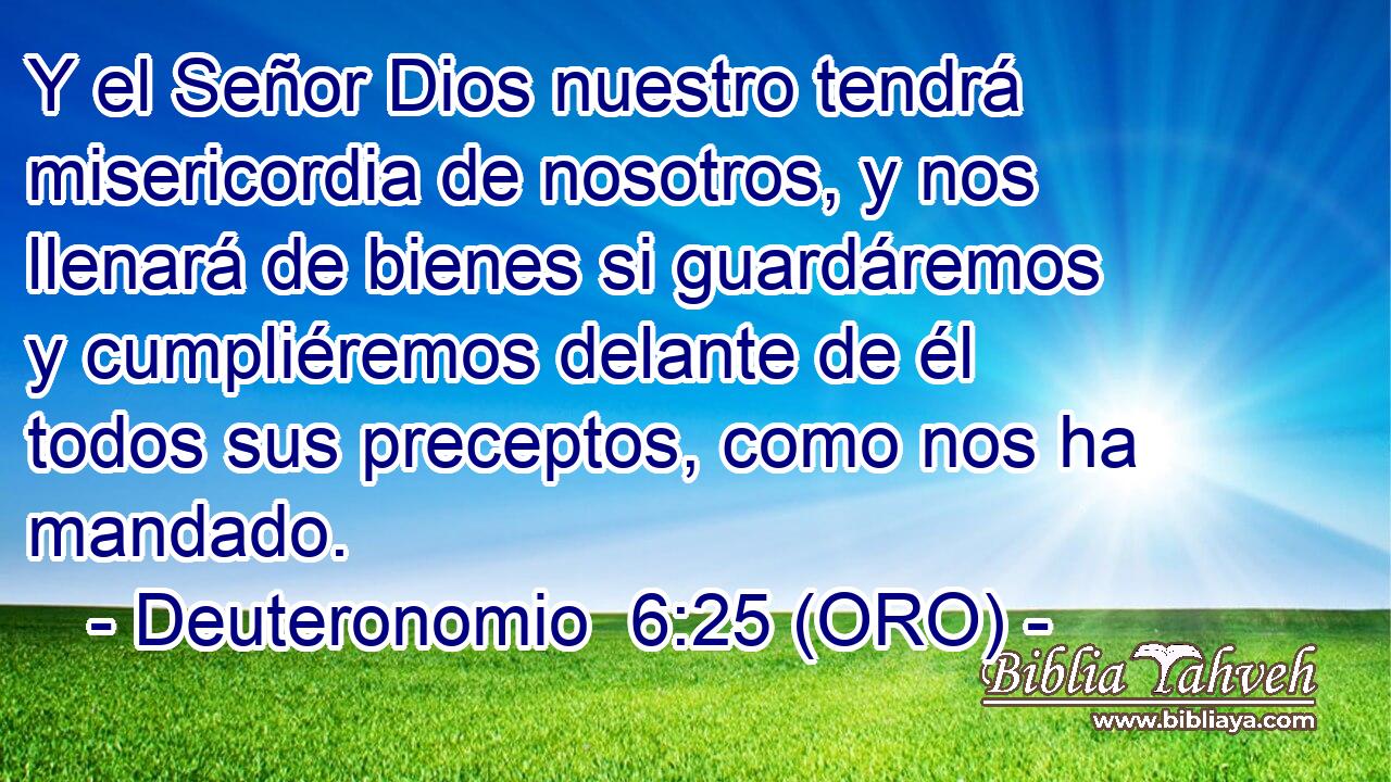  Y el Señor Dios nuestro tendrá misericordia de nosotros, y nos llenará de bienes si guardáremos y cumpliéremos delante de él todos sus preceptos, como nos ha mandado. 