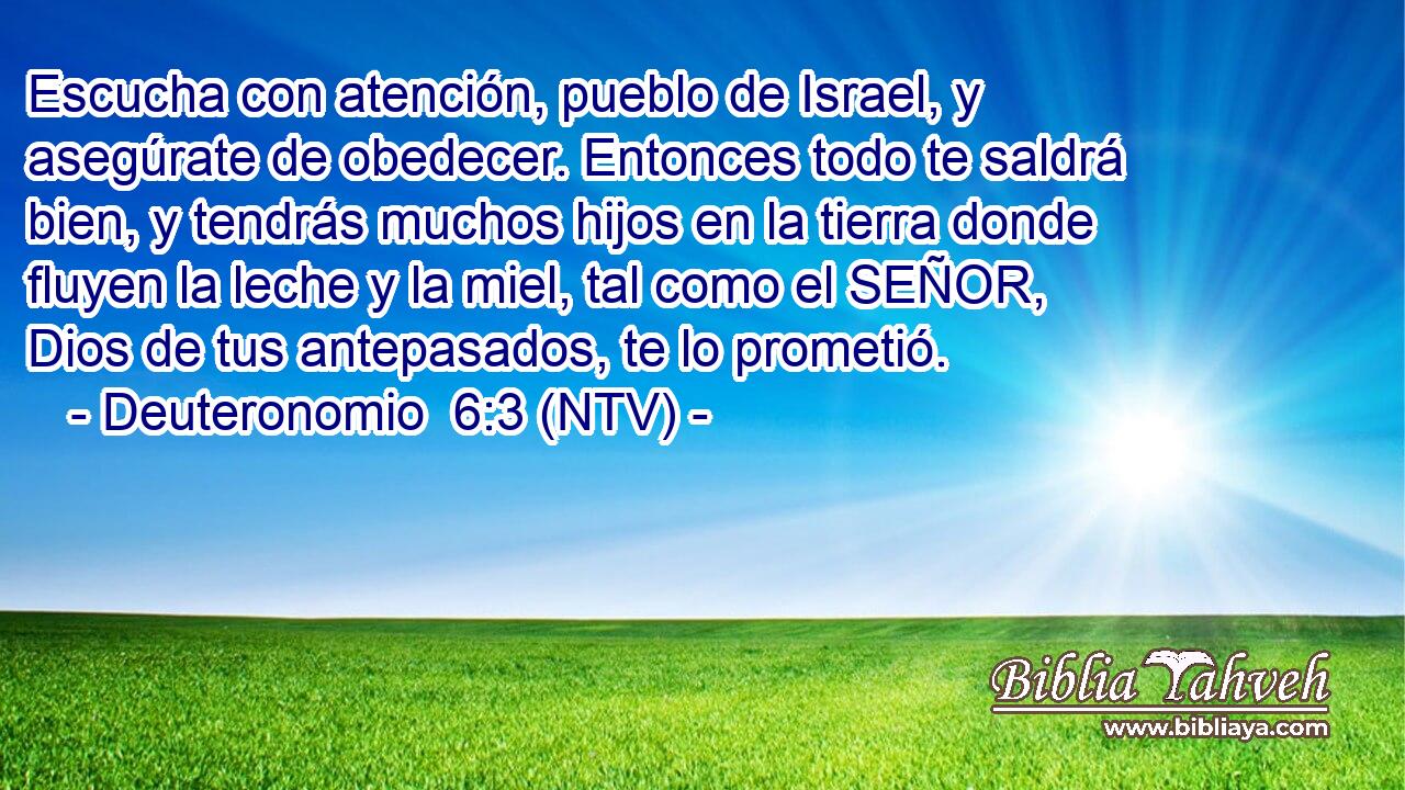 Escucha con atención, pueblo de Israel, y asegúrate de obedecer. Entonces todo te saldrá bien, y tendrás muchos hijos en la tierra donde fluyen la leche y la miel, tal como el SEÑOR, Dios de tus antepasados, te lo prometió.