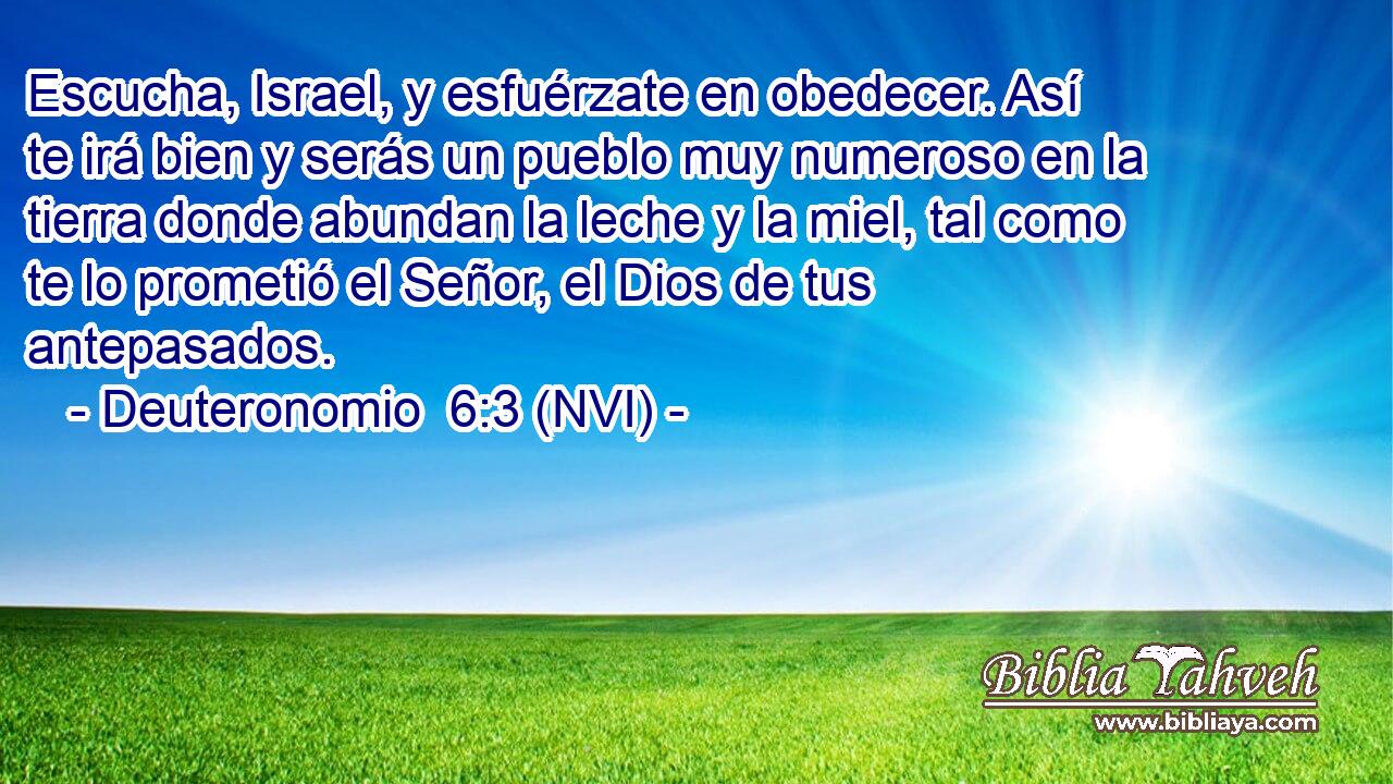  Escucha, Israel, y esfuérzate en obedecer. Así te irá bien y serás un pueblo muy numeroso en la tierra donde abundan la leche y la miel, tal como te lo prometió el Señor, el Dios de tus antepasados. 
