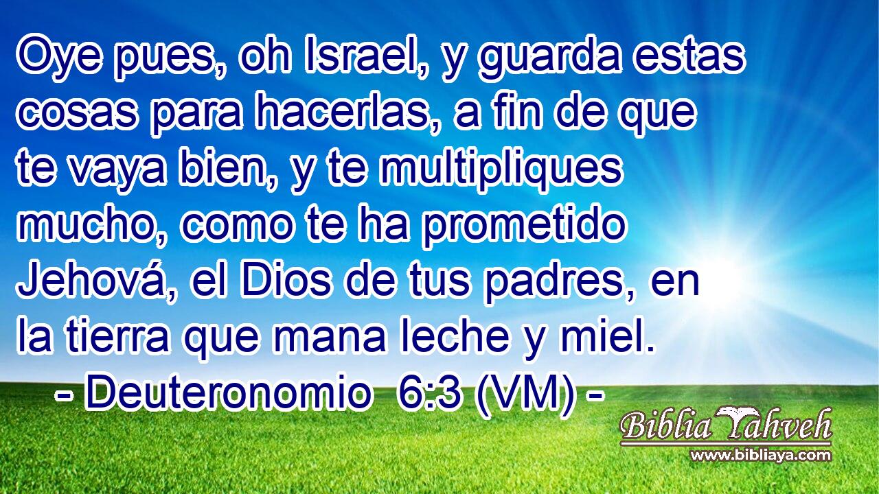  Oye pues, oh Israel, y guarda estas cosas para hacerlas, a fin de que te vaya bien, y te multipliques mucho, como te ha prometido Jehová, el Dios de tus padres, en la tierra que mana leche y miel. 