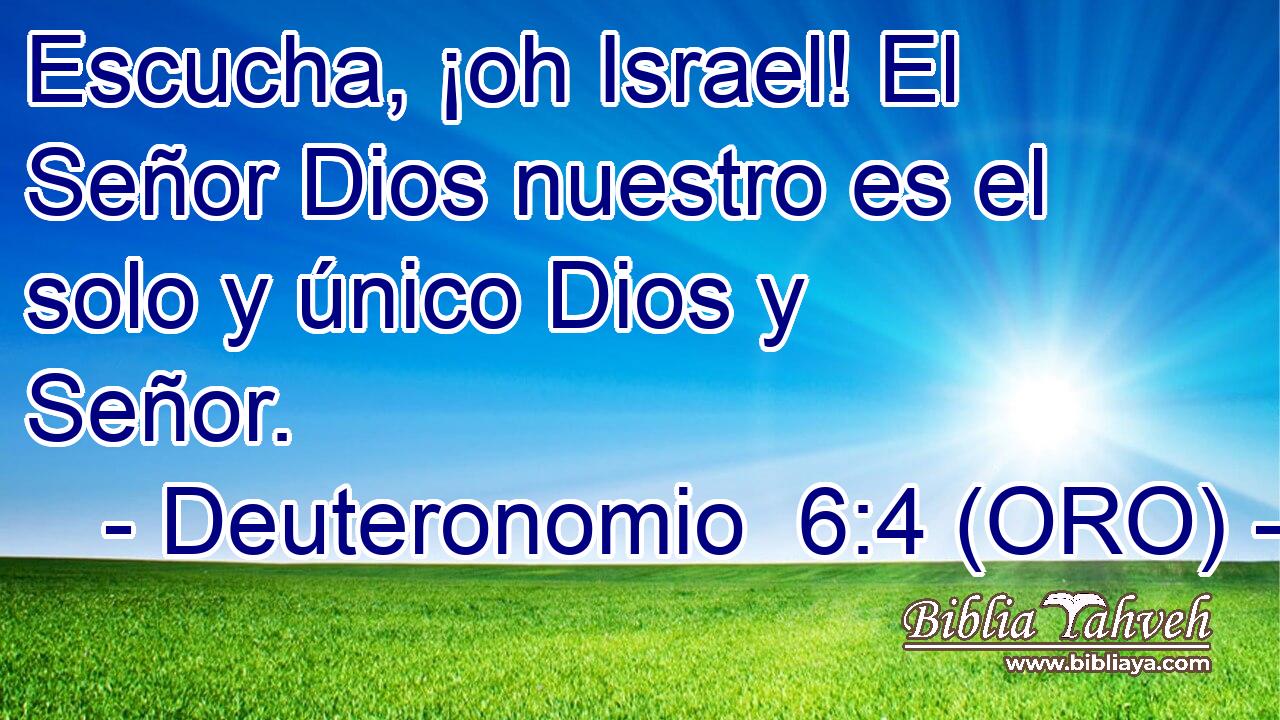  Escucha, ¡oh Israel! El Señor Dios nuestro es el solo y único Dios y Señor. 