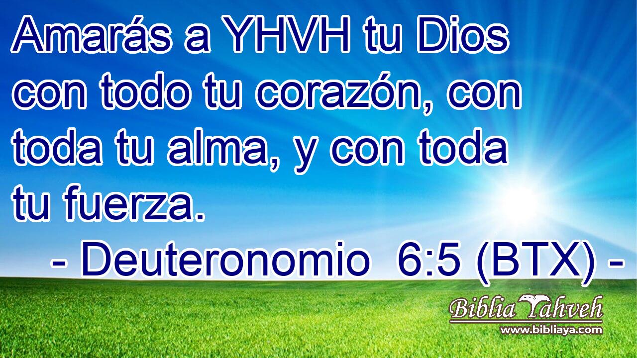 Amarás a YHVH tu Dios con todo tu corazón, con toda tu alma, y con toda tu fuerza.