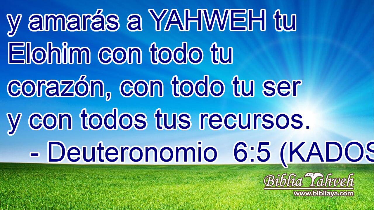  y amarás a YAHWEH tu Elohim con todo tu corazón, con todo tu ser y con todos tus recursos. 