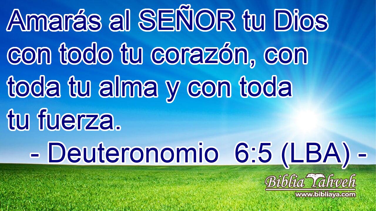 Amarás al SEÑOR tu Dios con todo tu corazón, con toda tu alma y con toda tu fuerza.
