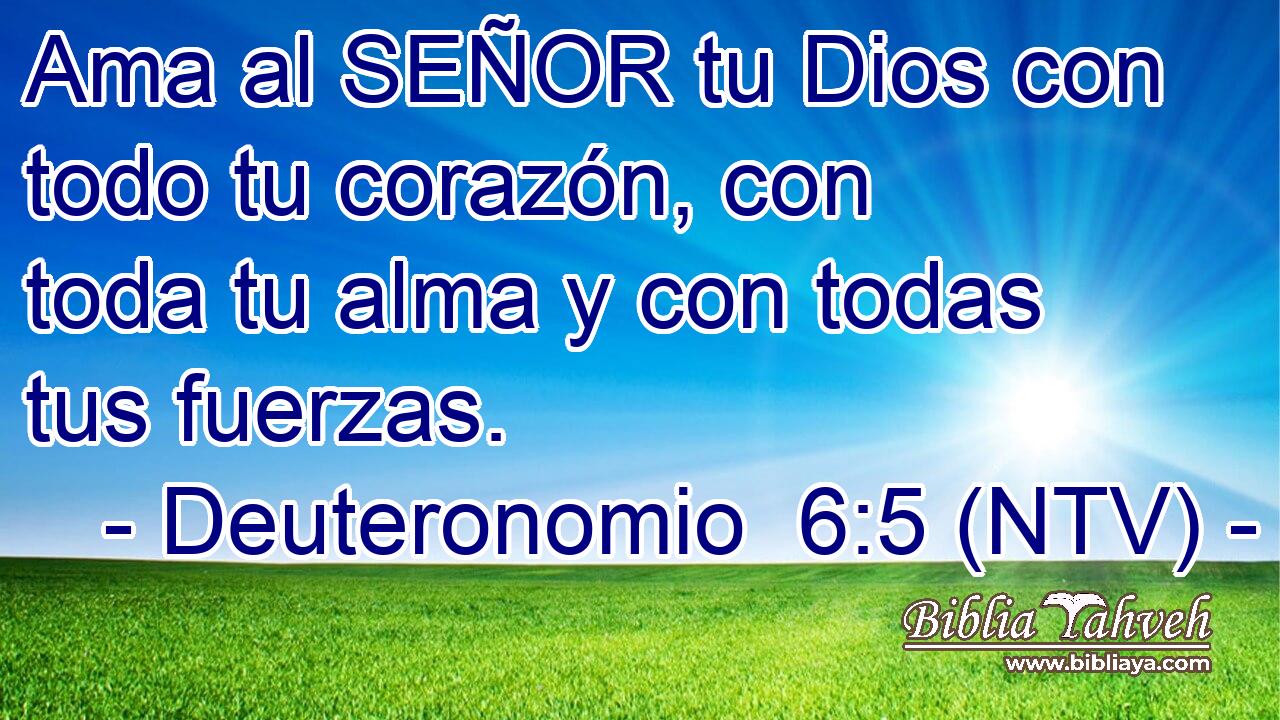 Ama al SEÑOR tu Dios con todo tu corazón, con toda tu alma y con todas tus fuerzas.